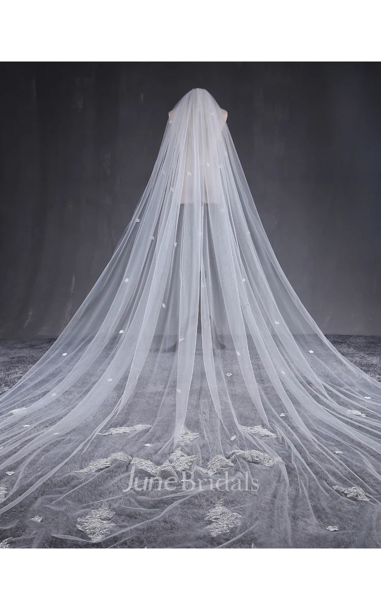 Korean New Style Cathedral Wedding Veil with Lace Edge and Flower Applique