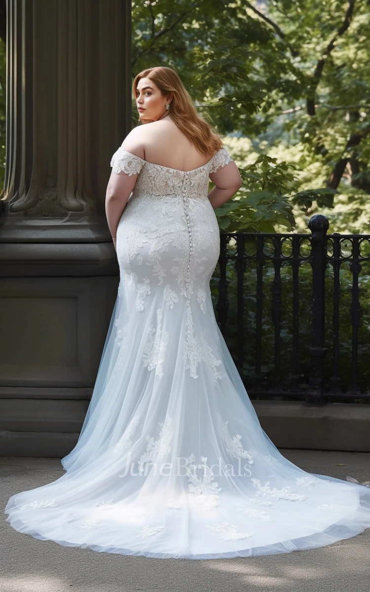 Mermaid Sleeveless Plus Size Lace Tulle Wedding Dress Off the