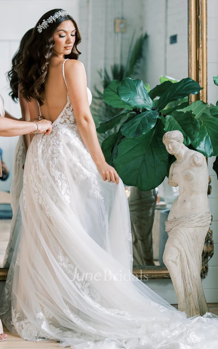 Sexy Deep-V Back Garden Wedding Dress Deep-V Back Lace Appliques Tulle Bridal Gown